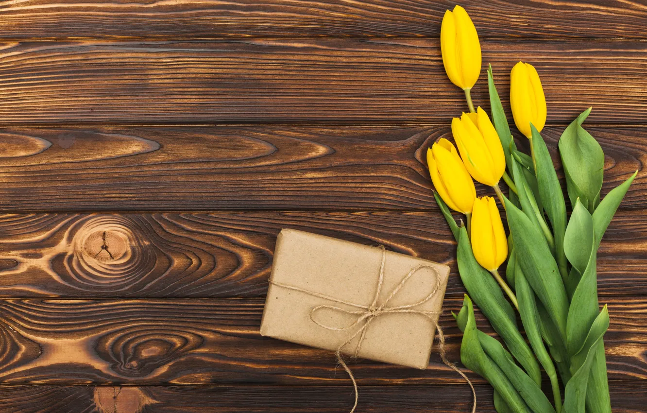 Фото обои цветы, желтые, тюльпаны, yellow, wood, flowers, tulips, spring