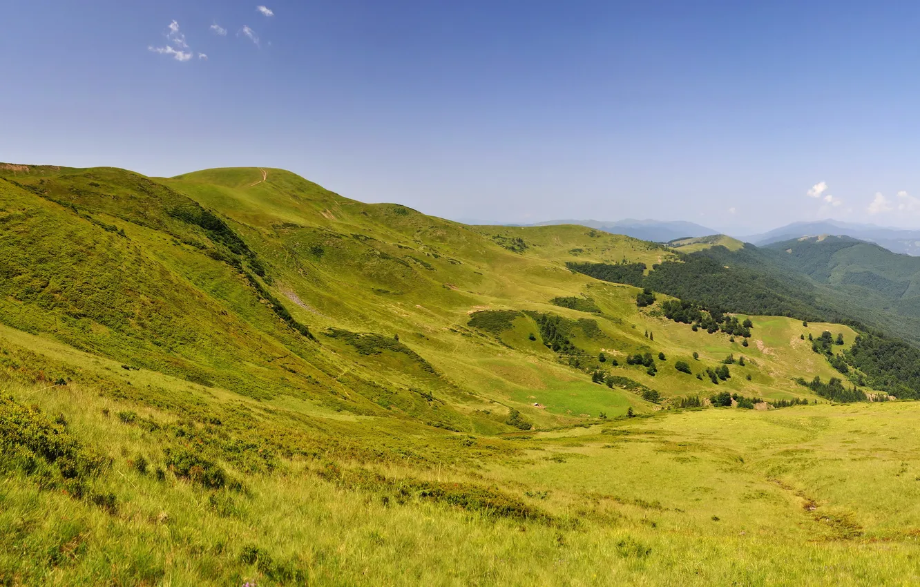 Фото обои трава, пейзаж, горы, природа, Украина, Карпаты