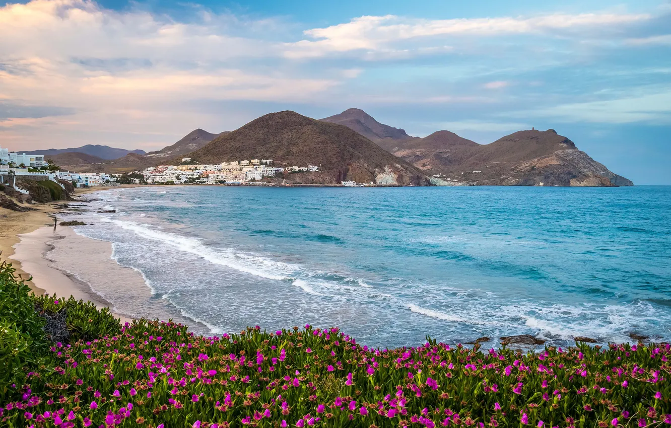Фото обои море, небо, цветы, горы, город, берег, дома
