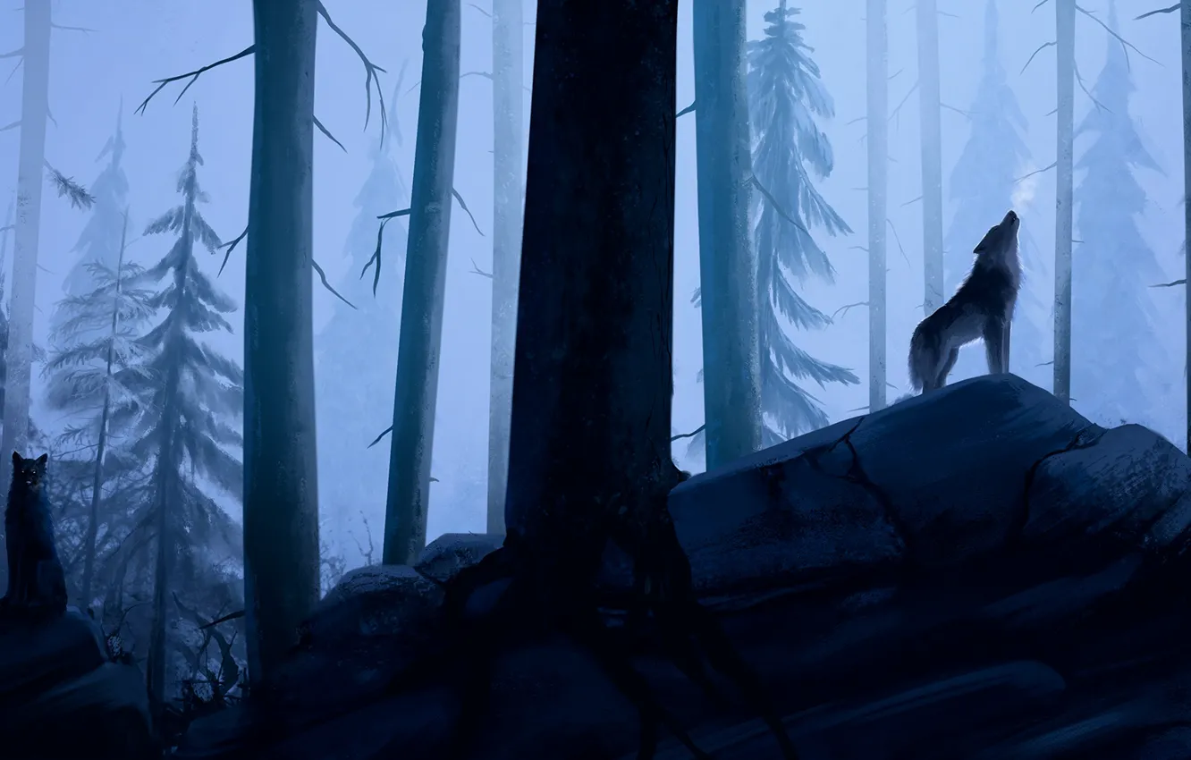 Фото обои лес, туман, утро, волки, by Wolflich