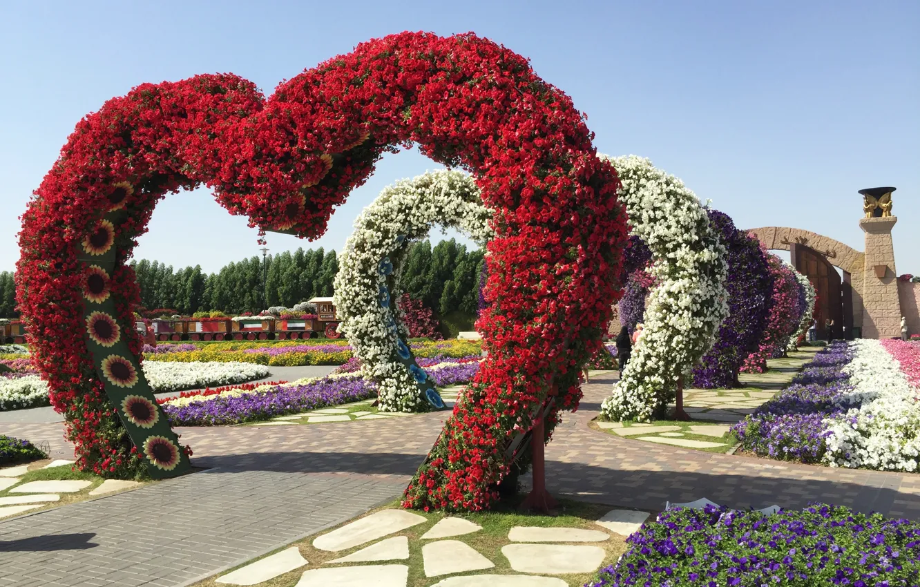 Фото обои цветы, сердце, Дубай, Dubai, Emirates, garden, ОАЭ, Арабские Эмираты