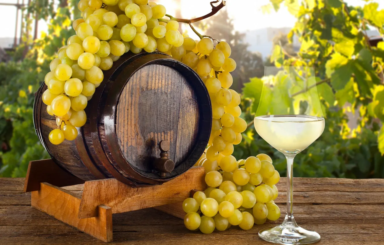 Фото обои ягоды, жёлтый, вино, белое, бокал, виноград, напиток, бочка