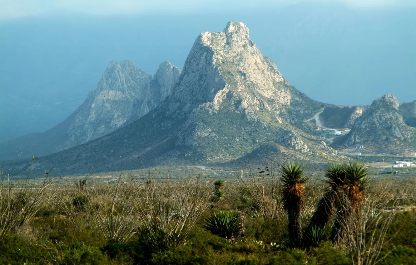 Фото обои горы, Мексика, кактусы, Mexico, поселок, Mina, Nuevo Leon
