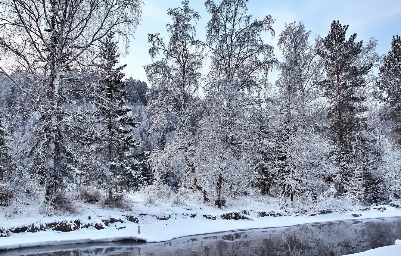 Фото обои зима, лес, снег, деревья, речка