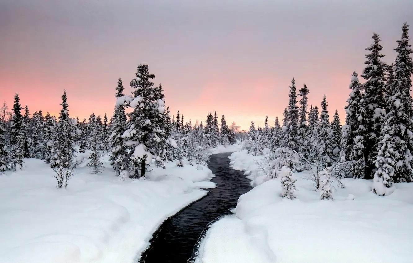 Фото обои зима, пейзаж, природа, река