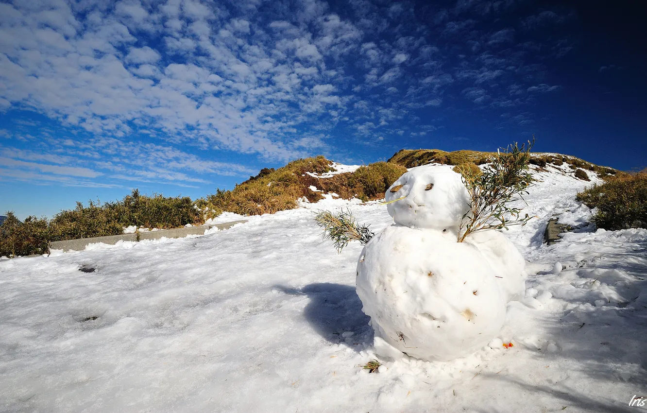 Фото обои зима, снег, ветки, снеговик, солнечно