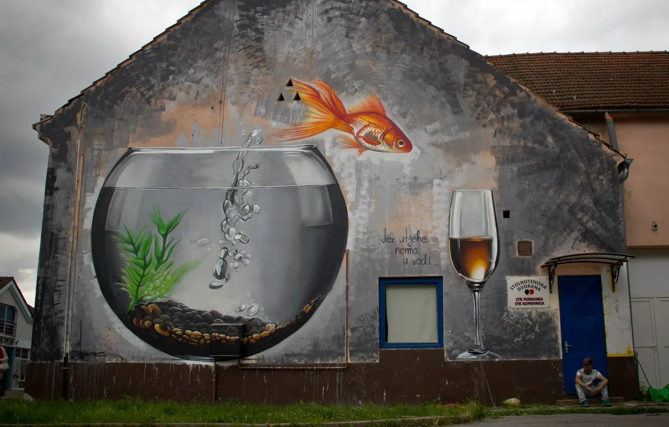 Фото обои city, город, улица, здания, аквариум, золотая рыбка, street, goldfish