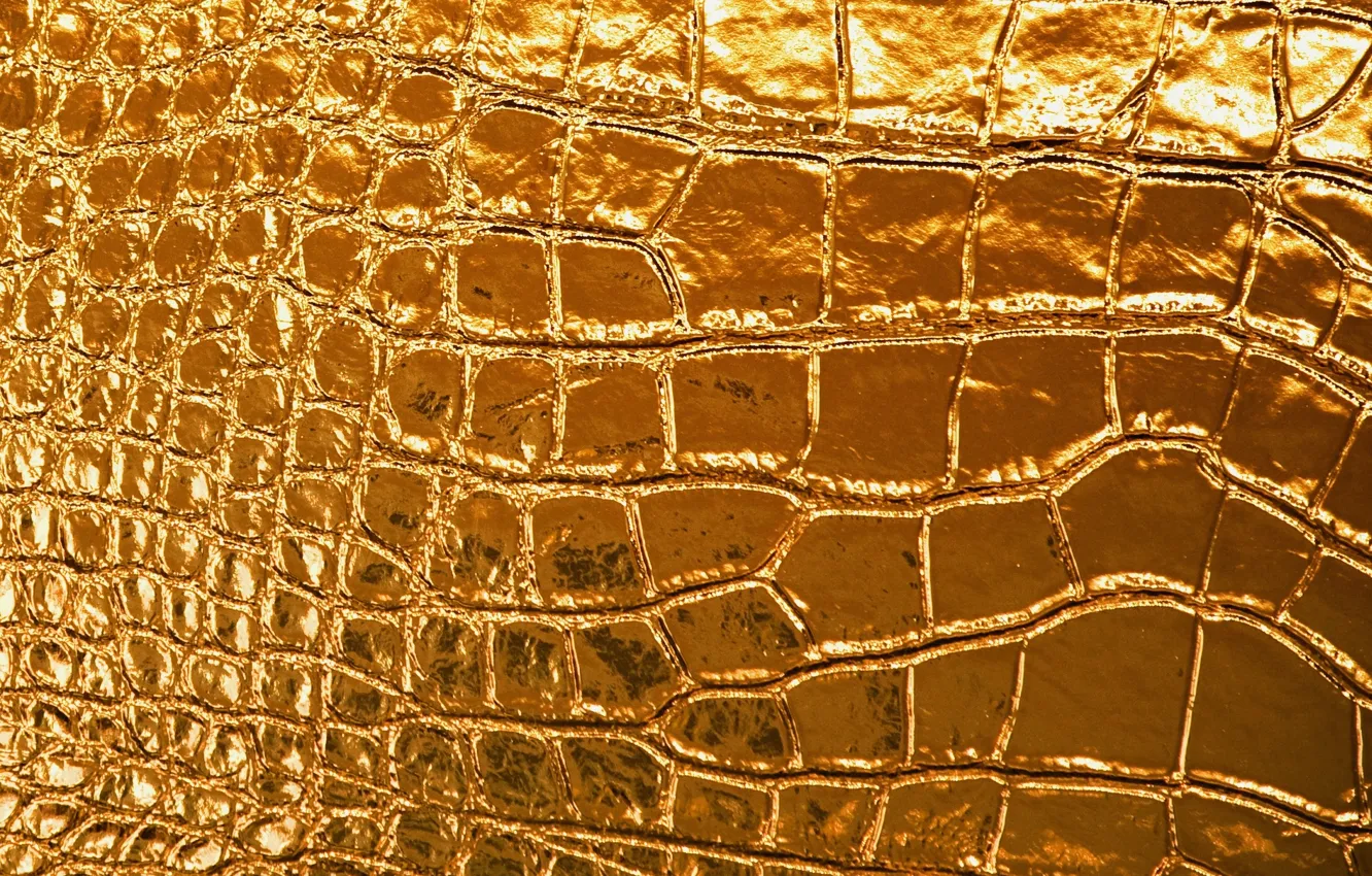 Фото обои сияние, золото, узор, рисунок, блеск, текстура, кожа, texture