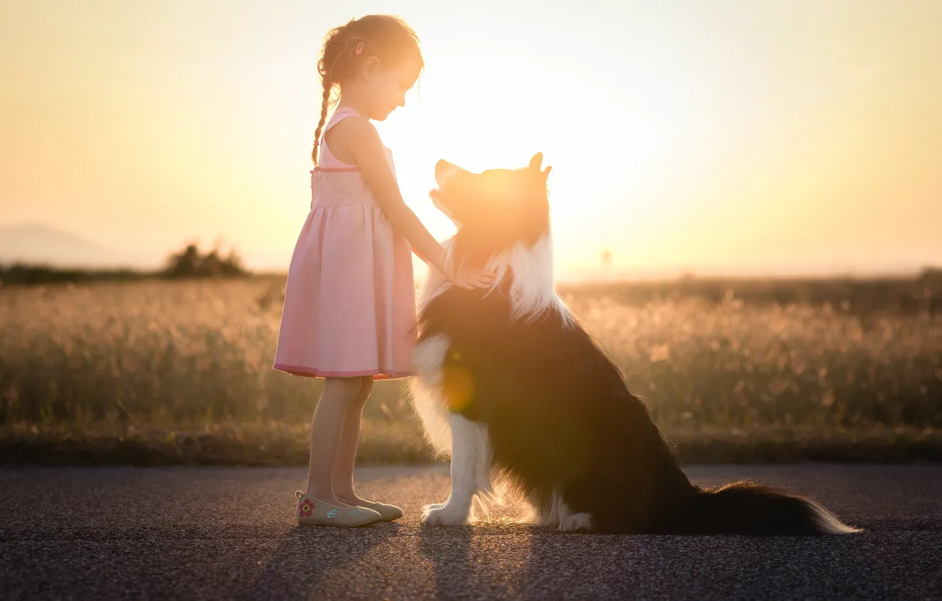 Фото обои свет, собака, девочка