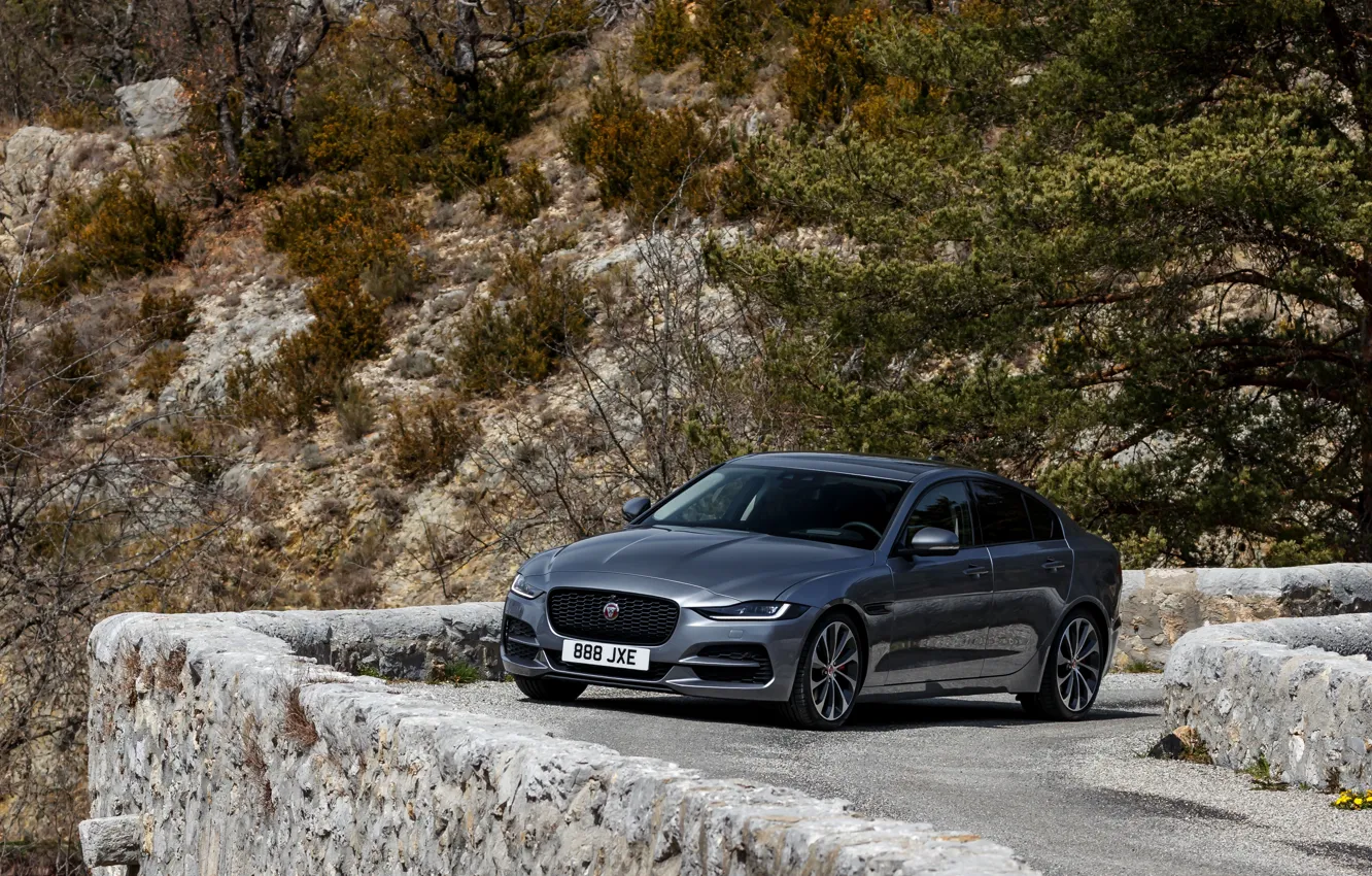 Фото обои растительность, Jaguar, склон, 2020, серо-серебристый, Jaguar XE