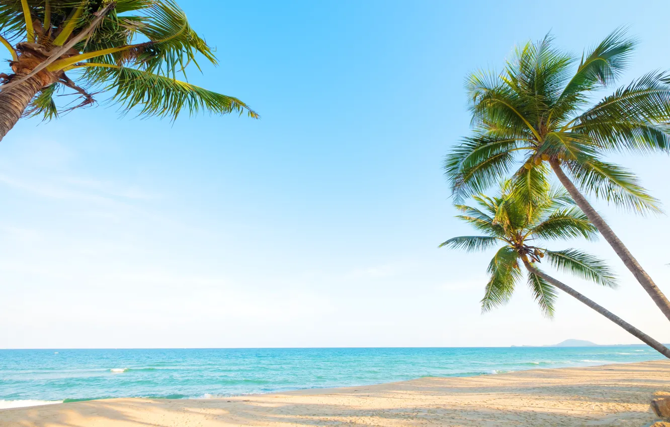 Фото обои море, пляж, закат, пальмы, Тропики