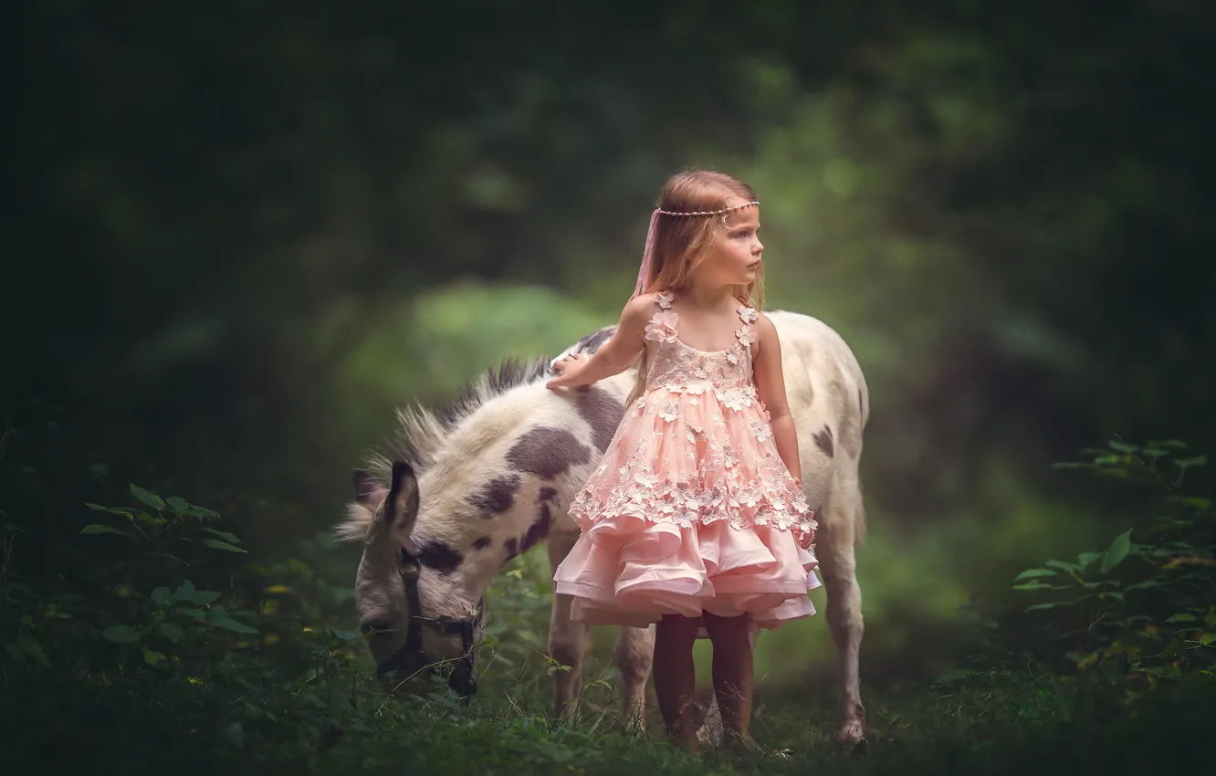 Фото обои платье, девочка, ослик