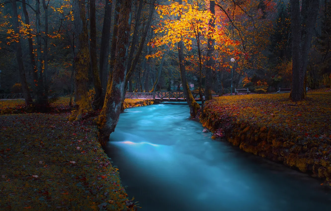 Фото обои осень, лес, деревья, пейзаж, природа, парк, река, фонари
