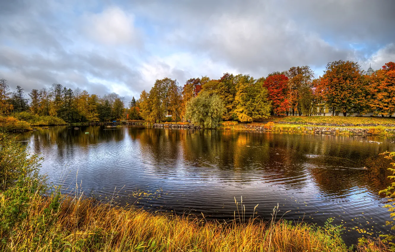 Фото обои фото, Природа, Трава, Осень, Деревья, Река, Россия
