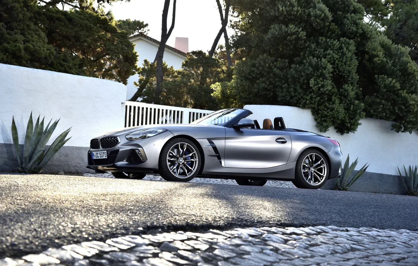 Фото обои асфальт, серый, растительность, ворота, BMW, родстер, BMW Z4, M40i