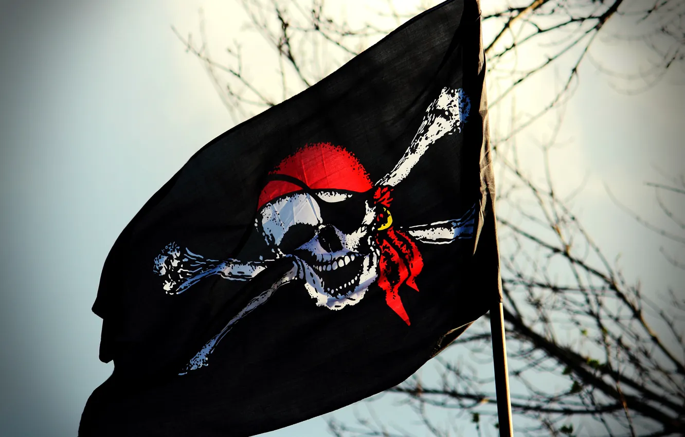 Фото обои череп, флаг, пират, веселый роджер