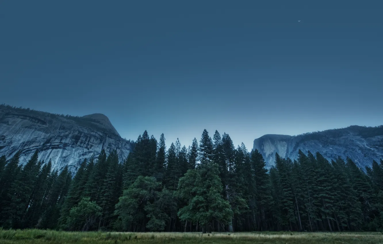 Фото обои США, California, Yosemite Valley, Национальный парк, Штат Калифорния, Foresta, Долина Йосемити