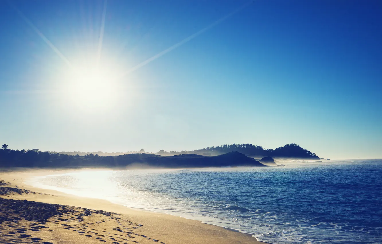 Фото обои песок, море, солнце, деревья, следы, берег, солнечно