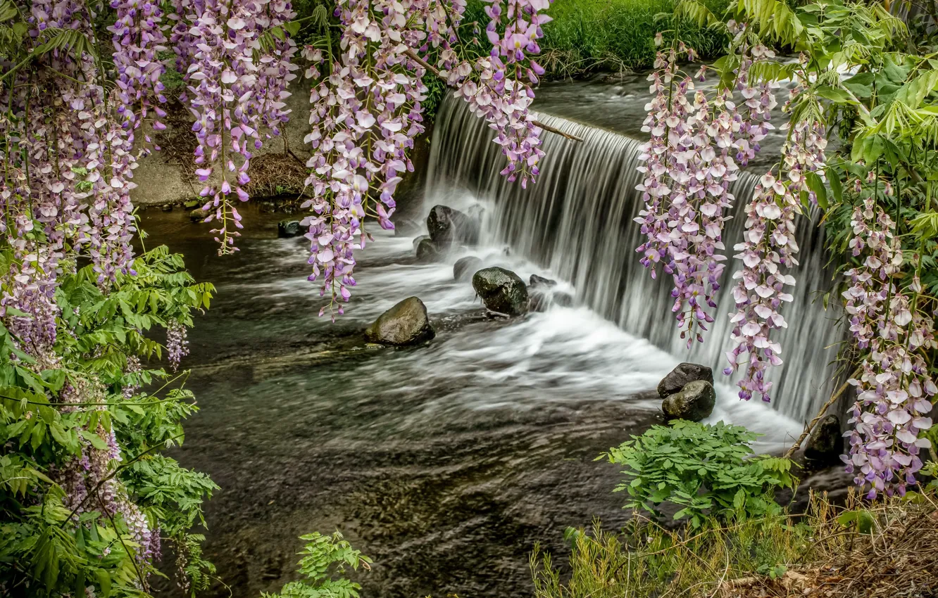 Фото обои река, водопад, весна