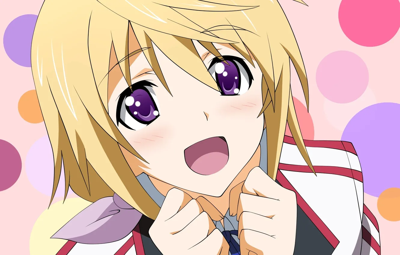 Фото обои Female, Single, Charles Dunois, Infinite Stratos, Simple background