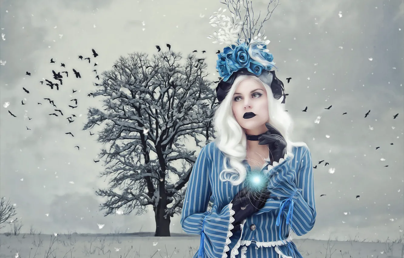 Фото обои зима, иней, поле, девушка, снег, пейзаж, птицы, синий