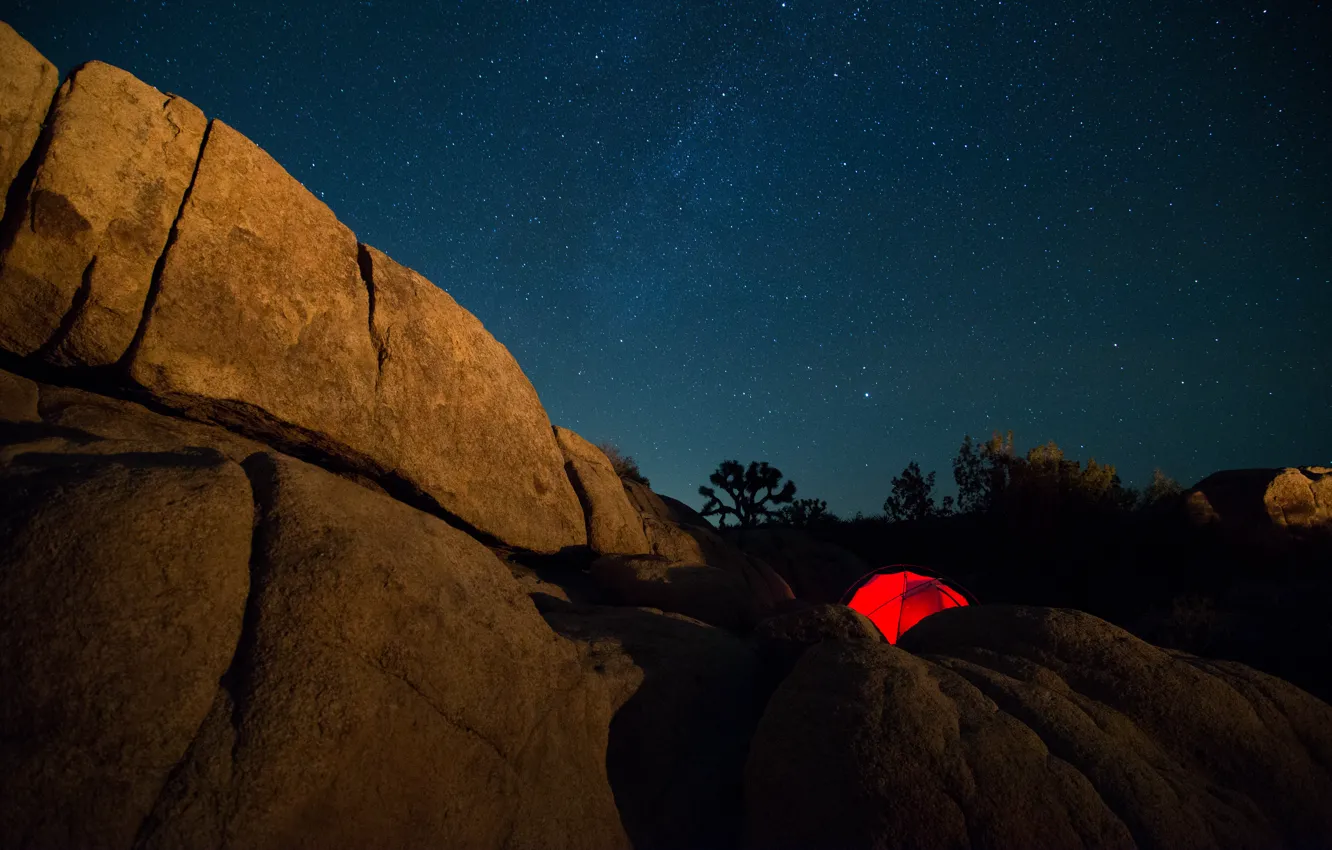 Фото обои ночь, скала, палатка, млечный путь, Milky Way, Joshua Tree National Park