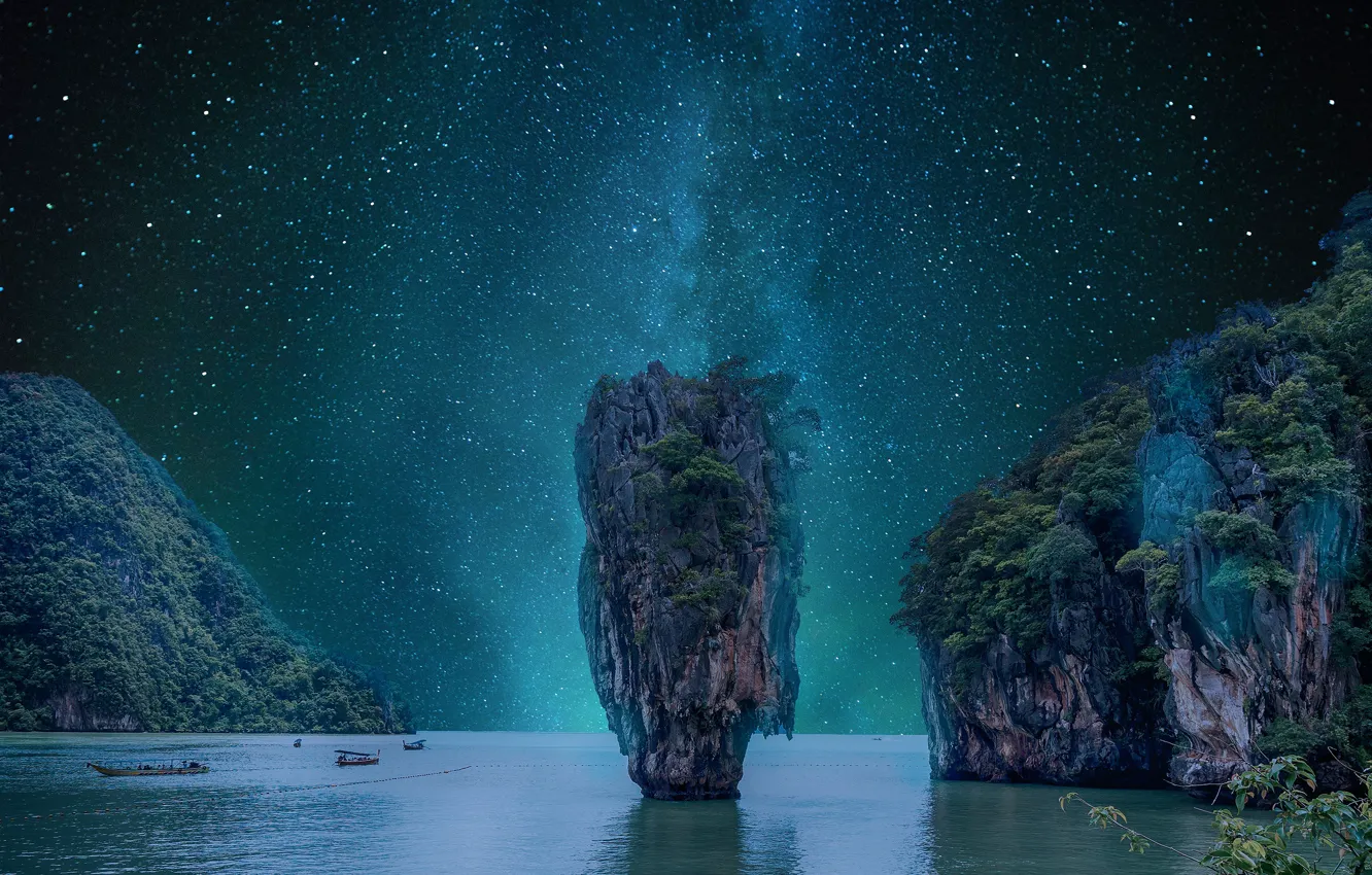 Фото обои море, небо, космос, звезды, деревья, ночь, скалы, растительность