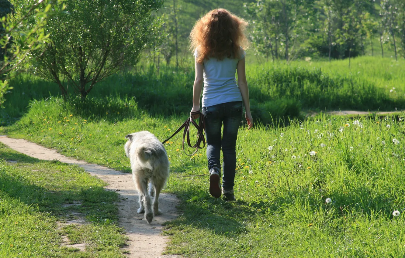 Фото обои девушка, улыбка, настроение, собака, прогулка, друзья, идут в ногу