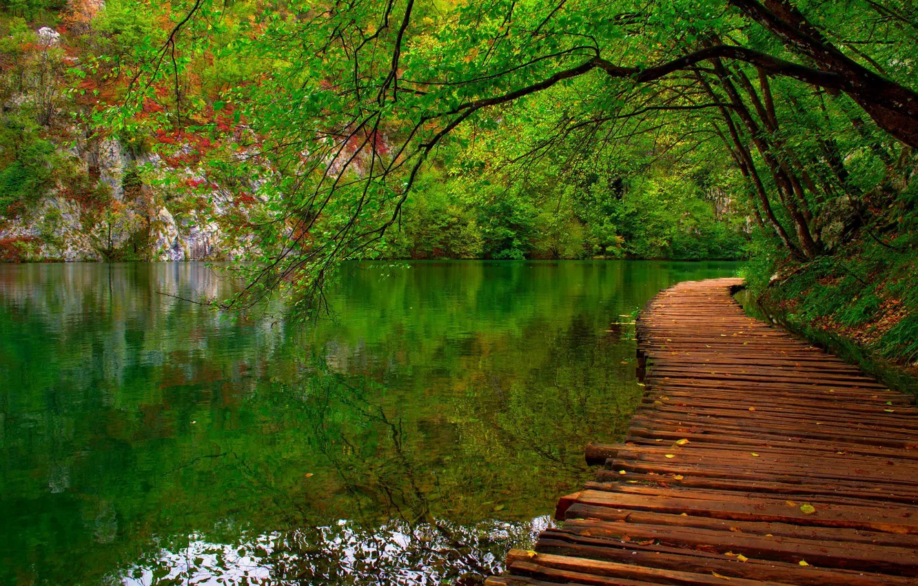 Фото обои лес, листья, вода, деревья, горы, природа, парк, река