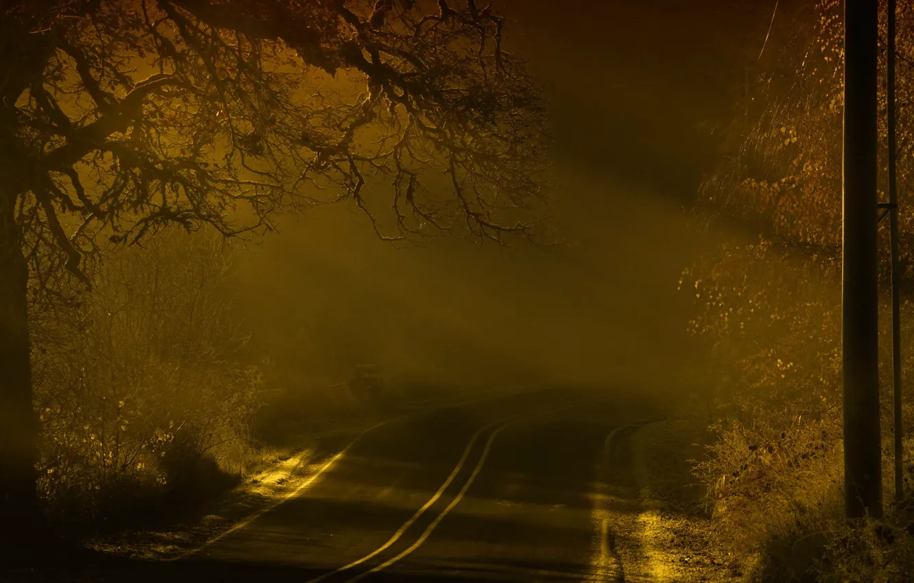 Фото обои дорога, пейзаж, ночь
