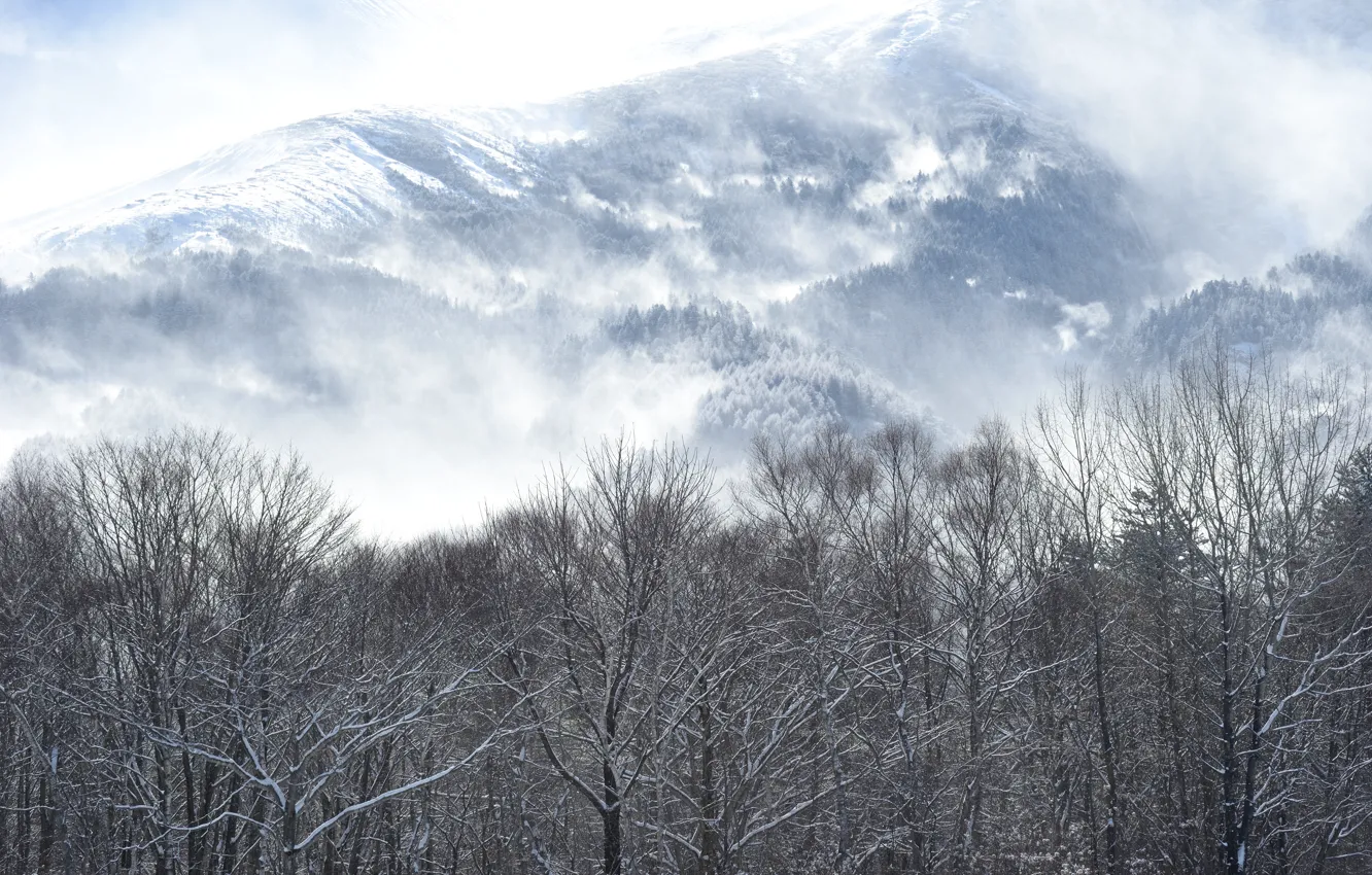 Фото обои winter, mountain, snow, kentucky
