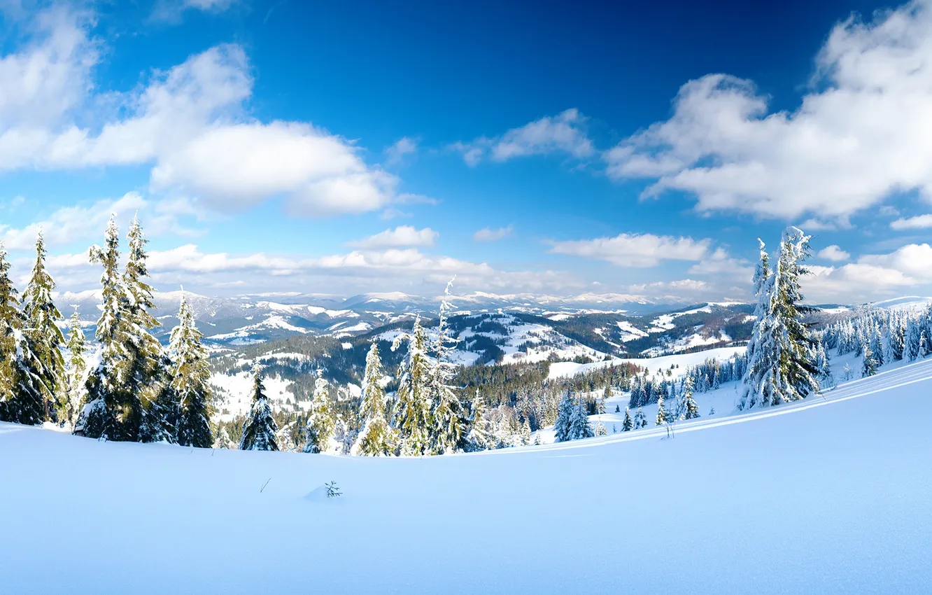 Фото обои зима, небо, солнце, лучи, снег, горы, елки, день