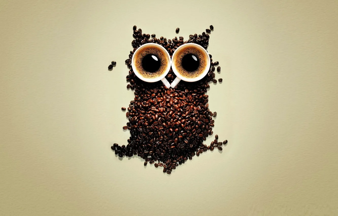 Фото обои coffee, owl, coffee beans, cups of coffee