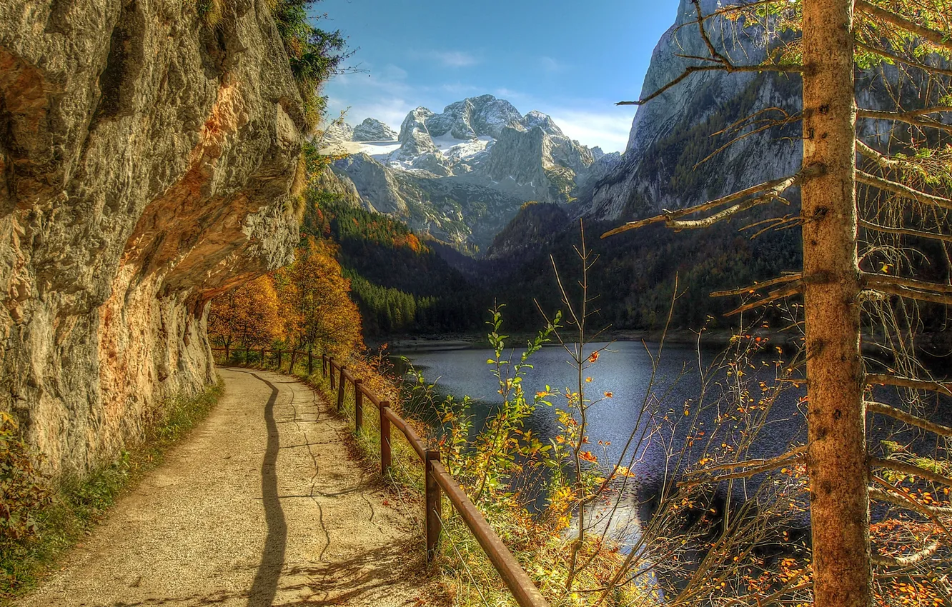 Фото обои осень, деревья, горы, река, обрыв, холмы, забор, поручни