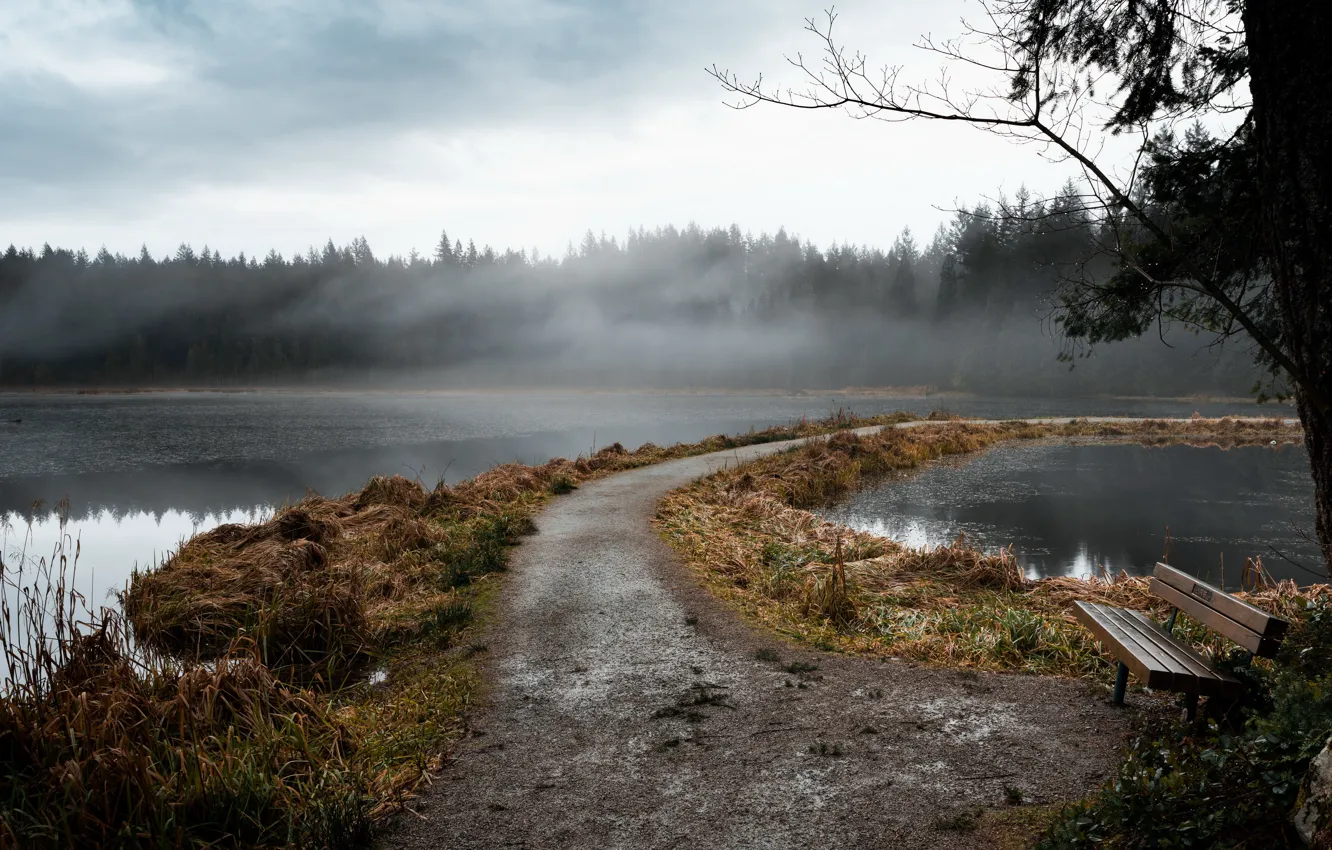 Фото обои туман, озеро, скамья