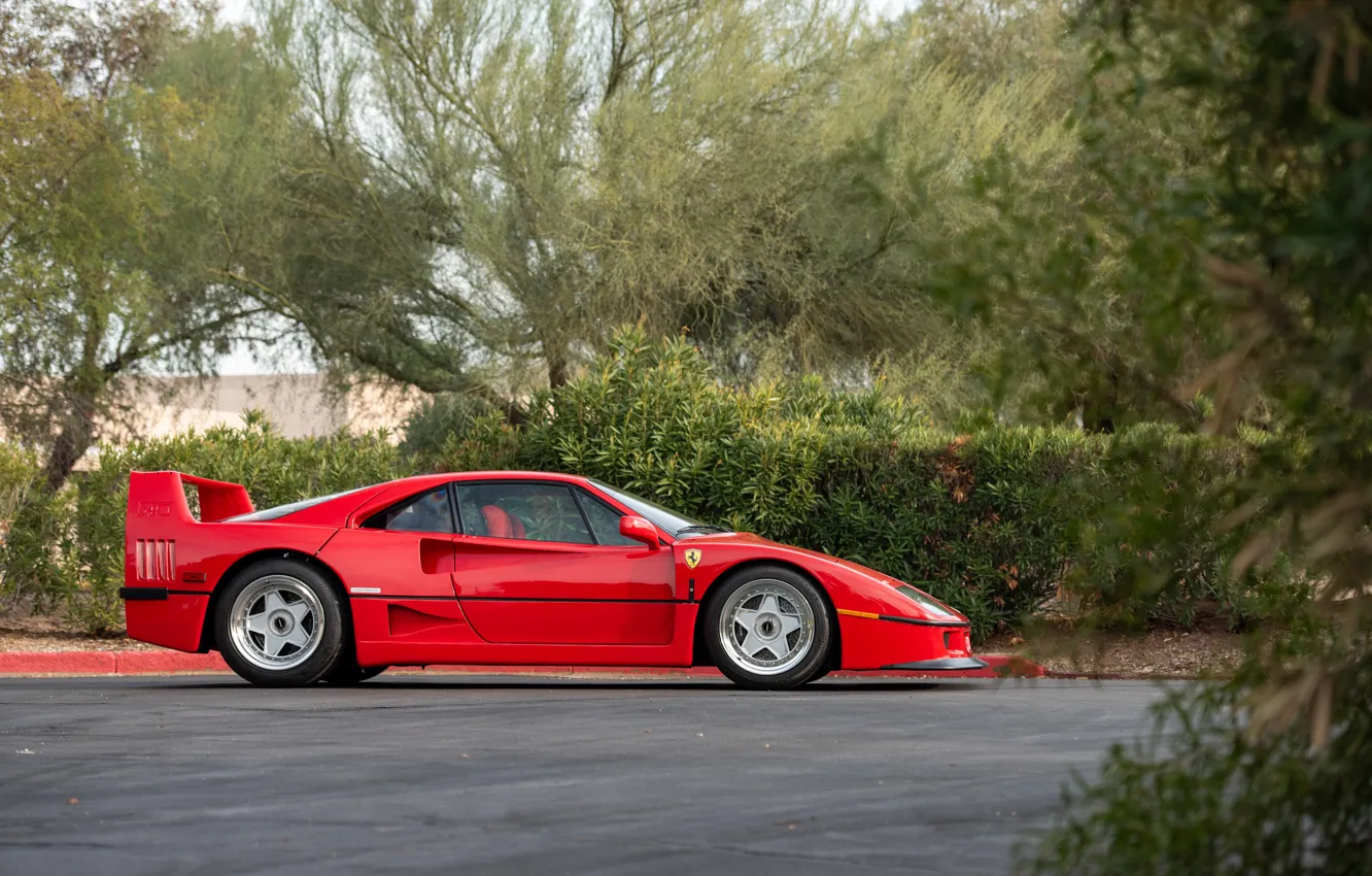 Фото обои Ferrari, F40, 1990, Ferrari F40