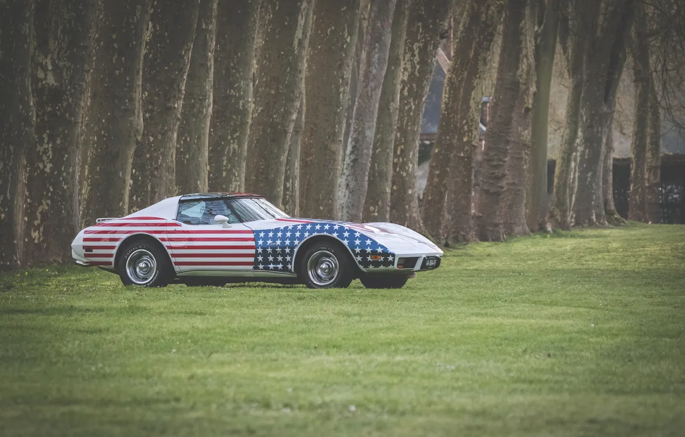 Фото обои трава, Chevrolet, классика, Corvette C3