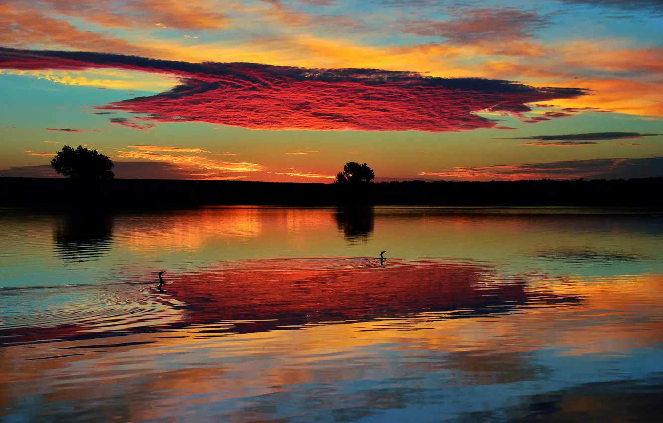 Фото обои небо, облака, озеро, утки, Утро, Колорадо, США