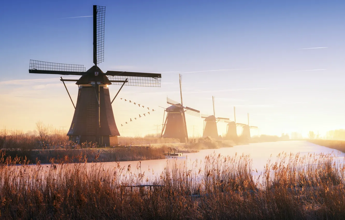 Фото обои мельницы, Нидерланды, Голландия, Киндердейк