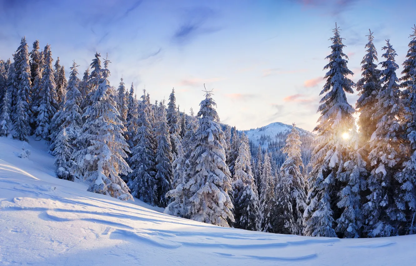 Фото обои зима, небо, солнце, снег, деревья, пейзаж, горы, природа