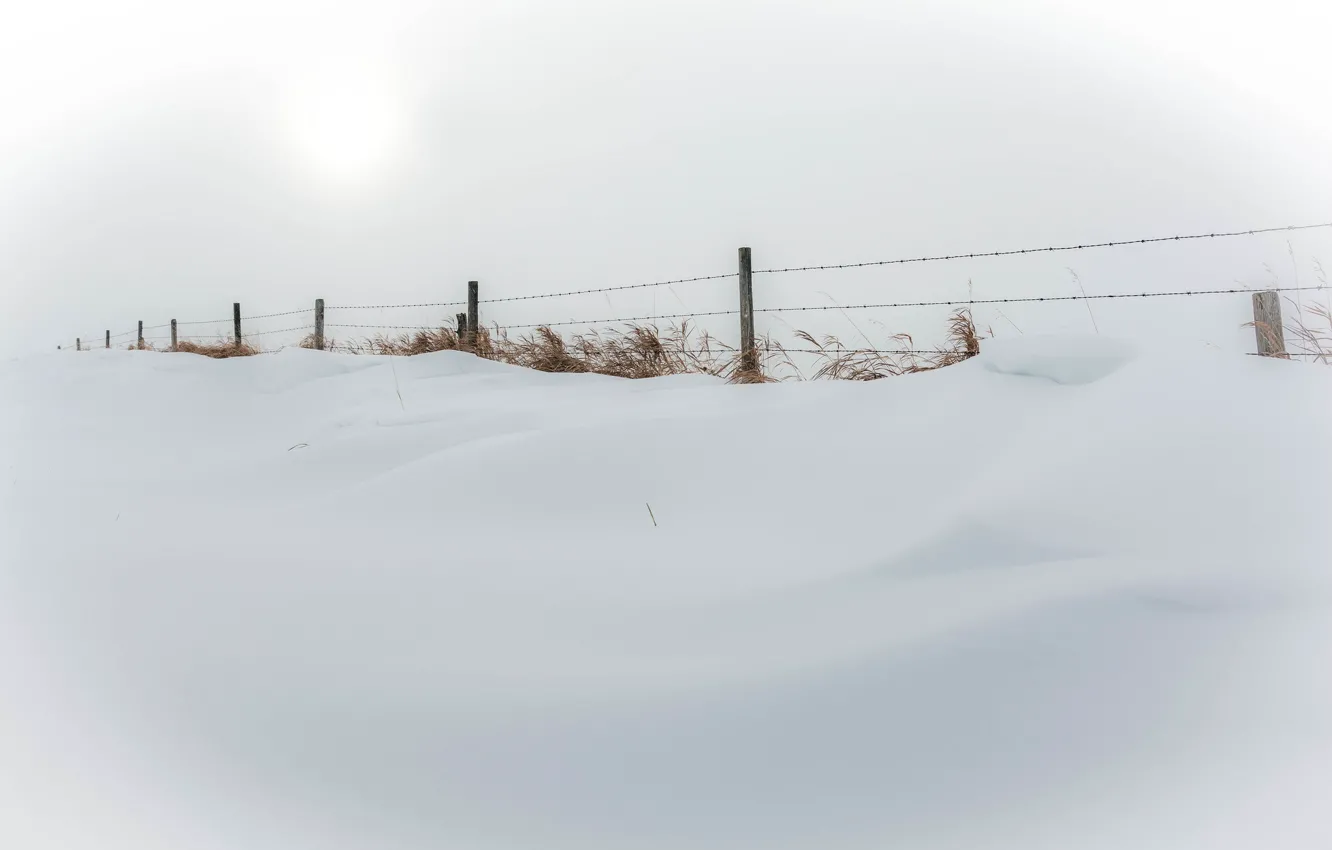 Фото обои зима, снег, природа, забор, минимализм