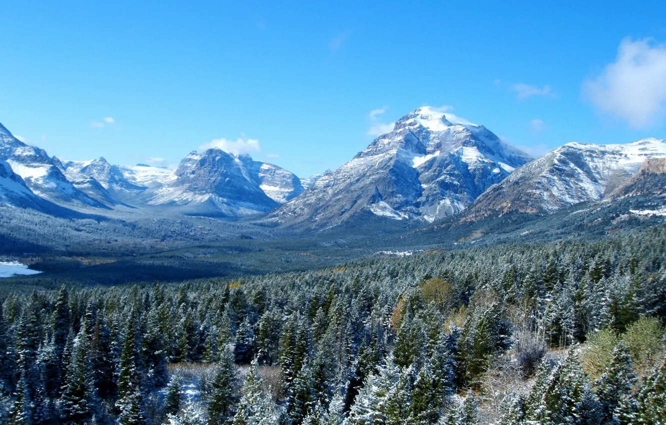 Фото обои лес, небо, пейзаж, горы, природа, США, Glacier, Montana