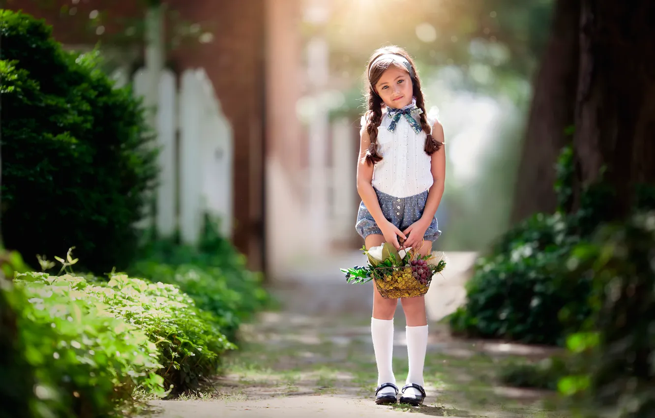 Фото обои девочка, косички, корзинка, солнечный свет, Waiting, child photography