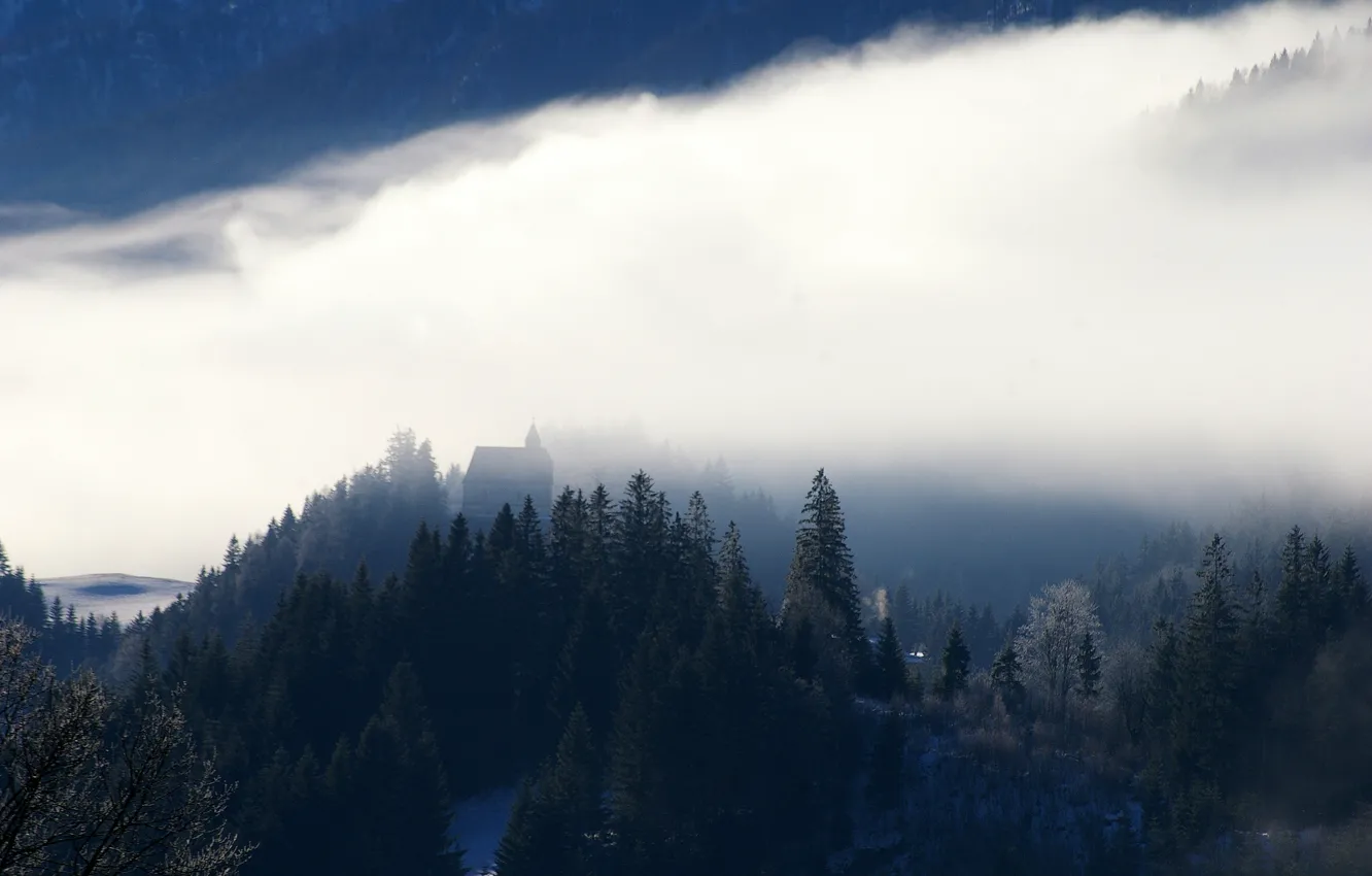 Фото обои зима, лес, пейзаж, туман, церковь