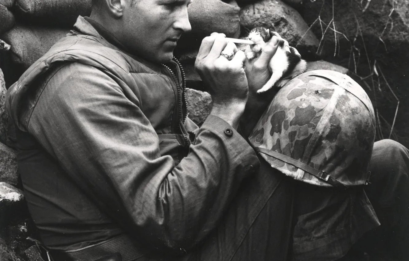 Фото обои котик, каска, американский солдат, пипетка, 18 октября, Война в Корее, 1952 год, ретро фотография