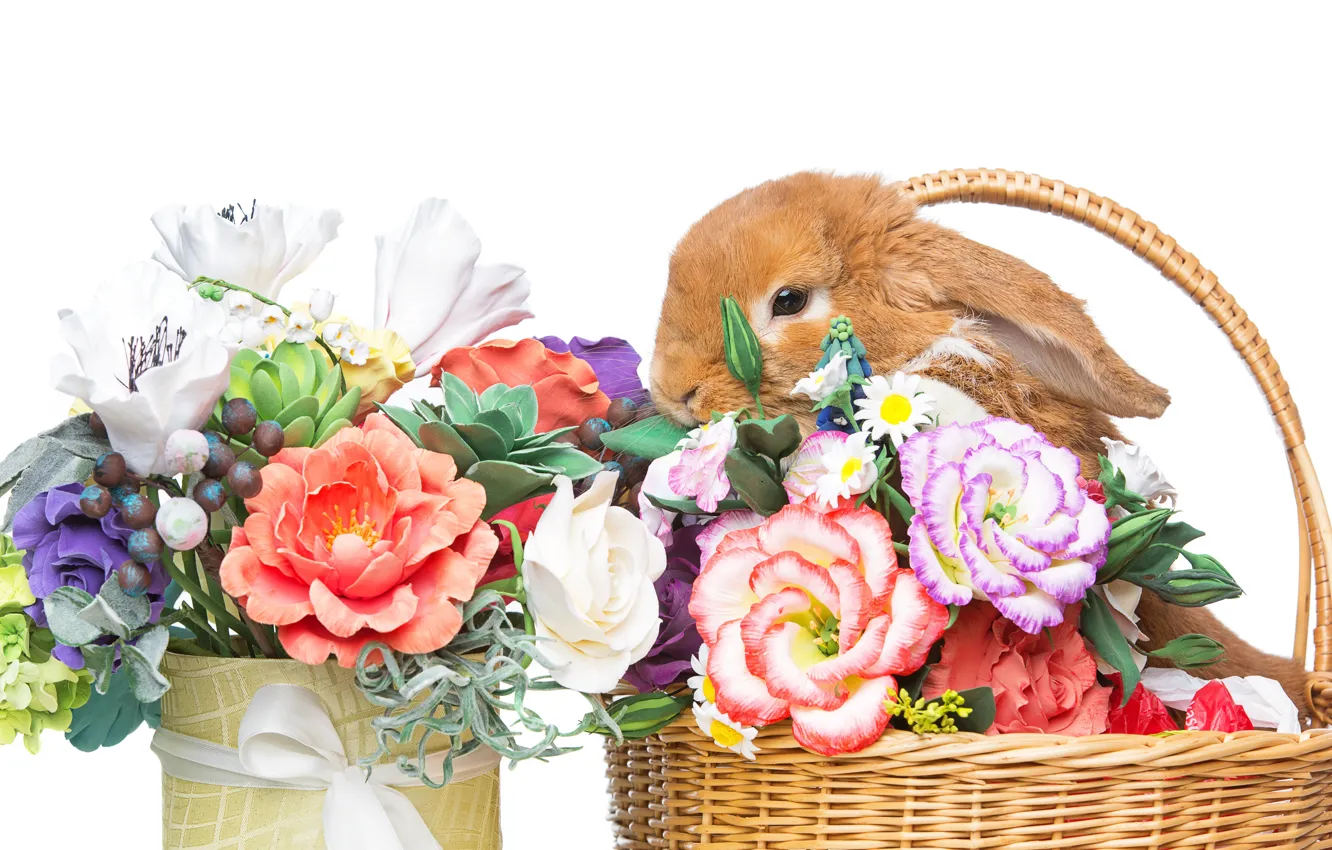 Фото обои цветы, корзина, кролик, Пасха, happy, rabbit, flowers, spring