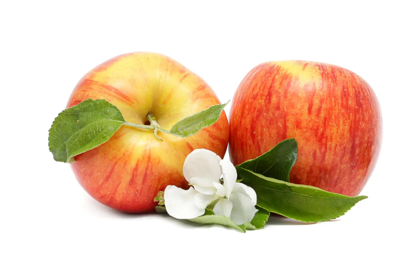 Фото обои цветы, яблоки, фрукты