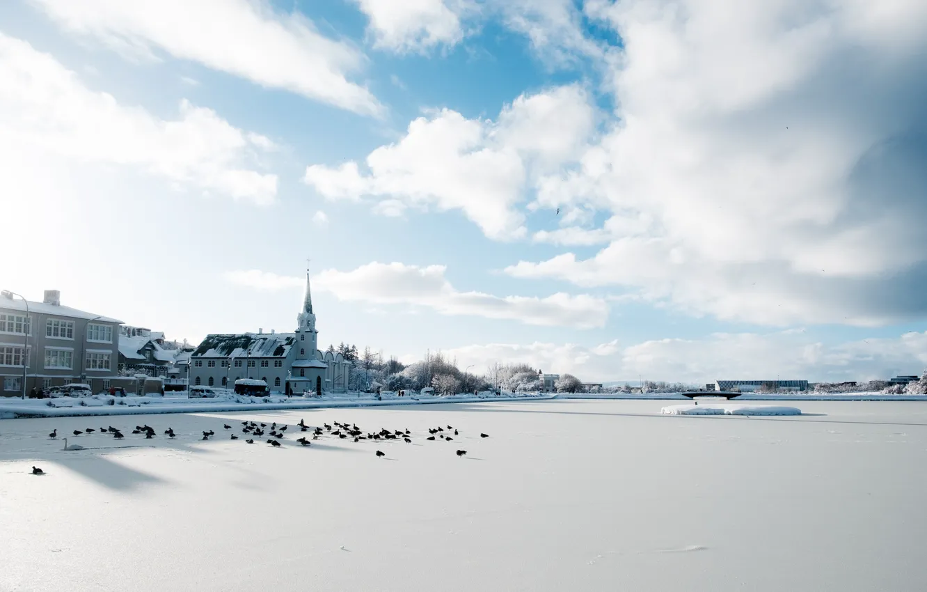 Фото обои зима, Исландия, Reykjavik, Рейкьявик