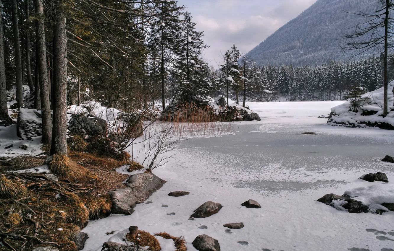 Фото обои лед, зима, небо, снег, деревья, горы, природа, озеро