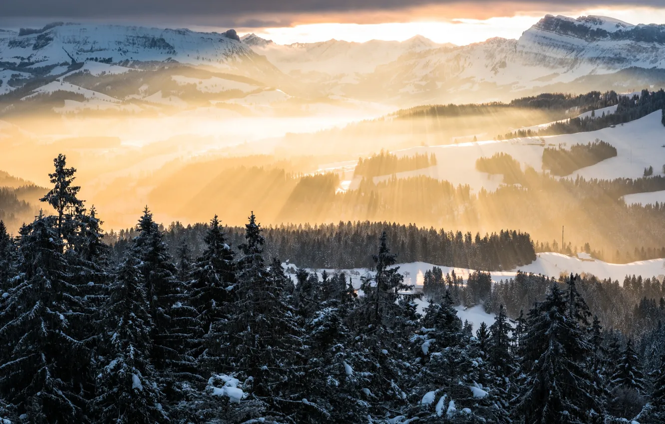 Фото обои лес, небо, лучи, свет, горы, Зима, утро, Альпы